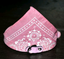 Pet Bandana