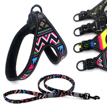 Colorful Adjustable Dog Leash