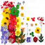 Dry flower embossing material package