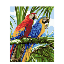 Oil painting frameless parrot