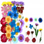 Dry flower embossing material package