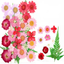 Dry flower embossing material package
