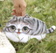 Cat pen bag, anime around, stationery bag, pencil case