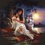 Beauty and Wolf Diamond Painting