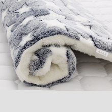 Thickened blanket for cats and dogs