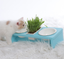 Cat Dish Rack